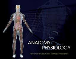 The shaft of a long bone is called epiphysis. Student Reference For Anatomy Physiology 2nd Edition 9781111642112 Cengage