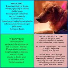 Pin By Em On Reference Emotional Support Dog Service Dog Training Therapy Dogs