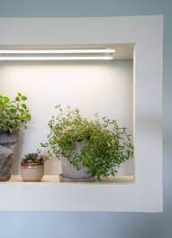 The other shelves are perfect for storage for my seed potatoes, watering can, and other plants awaiting warmer weather. Diy Grow Frame