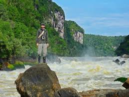 Image result for Afroqueta