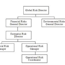 Automaker Risk Management Organizational Chart Download