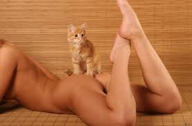 Cat Pussy Nude - 57 photos