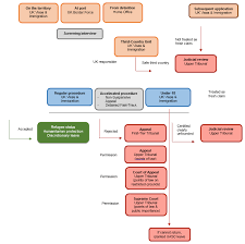 Flow Chart United Kingdom Asylum Information Database