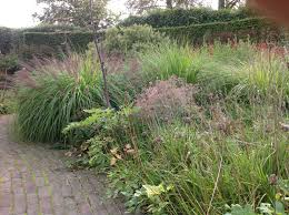 Pin On Piet Anja Oudolf S Garden Hummelo Netherlands Saturday 21 September 2013