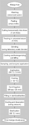 Flow Chart Of Cloudy Mango Juice Production Download