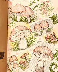 Best Psychology Books On Human Behavior Hooked To Books Books In 2021 Stuffed Mushrooms Books