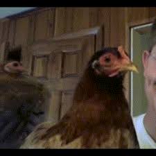 Through funny photos and videos, people of walmart is an entertainment blog in the three ring blogs network that features over 30 of the funniest humor blogs on the internet. Why Do Certain Birds Walk While Some Hop Especially The Smaller Ones When They Move Quora