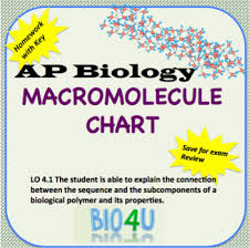 ap biology macromolecule chart