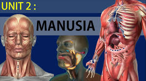 Selamat datang ke selamat pagi! Download Sains Tahun 4 Pernafasan Manusia Part 1