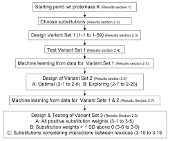 Flowchart Of Protein Engineering Design And Testing Process