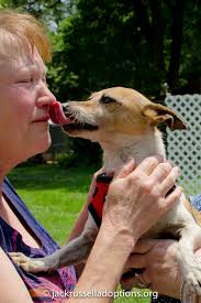 Happy Birthday, Mama Donna