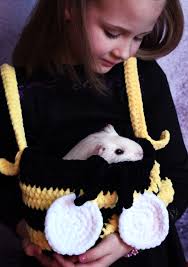 Guinea Pig Bee Carrier