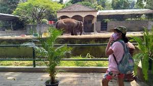 Check spelling or type a new query. Ini Syarat Berkunjung Ke Kebun Binatang Gembira Loka Dan Ini Harga Tiket Kunjungan Ke Gl Zoo Tribun Jogja