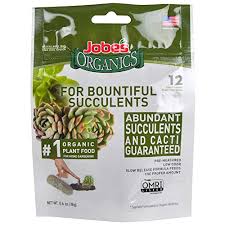 You can take steps to help your christmas cactus bloom, but not every piece of advice you hear will actually prove useful. The 5 Best Fertilizer For Succulents 2021 Edition Succulent Alley