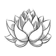 123rf Millions Of Creative Stock Photos Vectors Videos And Music Files For Your Inspiration And Lotus Flower Art Lotus Flower Painting Lotus Flower Drawing