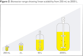 This guide contains general technical information for working with animal cells in culture, including media, subculturing, cryopreservation, and contamination. Current Challenges With Upstream Cell Culture Bioreactor Scale Up For Biologics Manufacturing