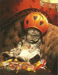 Sherry Hassel (hassel0313)