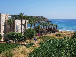 Tapu devir işlemlerinde, tapu harçlarını belirleyen belediyelerden alınan rayiç değer yerine, tapu kadastro genel müdürlüğü tarafından belirlenen mevcut uygulamaya göre kişinin beyanı ve rayiç bedel esas alındığı için 300 bin liralık ev alan kişi 100 bin lira beyanda bulunarak indirimli tapu harcı. Satilik Arsa Alirken Dikkat Etmeniz Gerekenler Blog Octovan