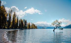 Pictures of the fantastic new zealand nature and scenic places: 4 Tranquil Spots To Experience Nature Wildlife In New Zealand Zafigo