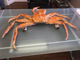 Our spectrum & spectrum blackout range of fabrics offer a fantastic choice of 36 popular colours. Crab Replicas Best Image