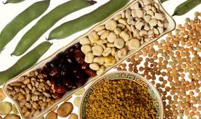 Las lectinas consisten en unas proteínas defensivas de las plantas que se enlazan a los hidratos de carbono. Lectinas El Nuevo Producto Alimenticio Bajo Sospecha Openmind