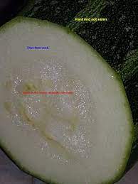 Does zucchini have seeds inside. Marrow Vegetable Wikipedia