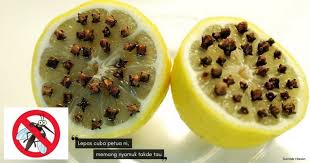Eksperimen ni pun aku ambil daripada google dan cakap² orang. 6 Petua Berasaskan Lemon Termasuk Menghalau Nyamuk Yang Efektif Ibu Ibu Mesti Cuba Nona