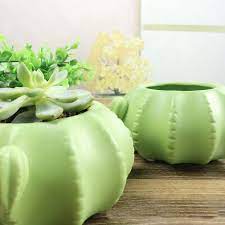 What kind of cactus is in a pot? Pin On Succulent Cactus Planter Garden Pots