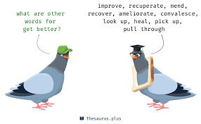Free english thesaurus and dictionary. More 300 Get Better Synonyms Similar Words For Get Better