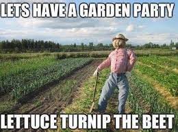 The Host Is Out Standing In His Field Laugh Humor Funny Pictures