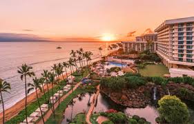 Image result for Regency D-810