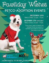 Learn about pet adoption options before adopting a pet. Petco Adoption Event The W Guide