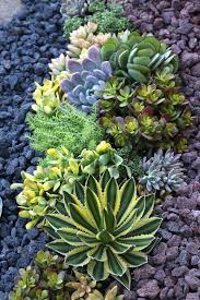Browse 265 succulent garden on houzz. 25 Catchy Outdoor Succulent Garden Ideas Digsdigs