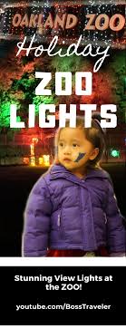 First Stop On Our Holiday Getaway Bucket List Is At Oakland Zoo Witness The Stunning Views Of The City At Night And T In 2020 Oakland Zoo Holiday Getaways Travel Blog