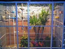 Bird Cages For Sale Near Me Aviary Bird Cage Bird Aviary Pet Bird Cage Aviary