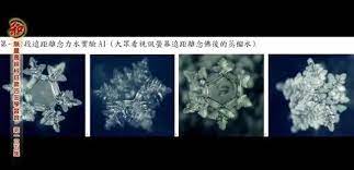 推荐 恢復地球和諧 水知道 台南极乐寺华严实验室報告图片和老法师开示 西归子 新浪博客 art pandora screenshot pandora