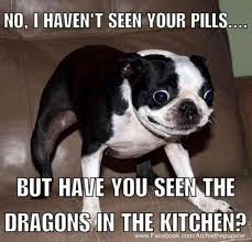 50 Hilarious And Relatable Dog Memes For National Dog Day Funny Animal Jokes Funny Dog Memes Funny Animal Quotes