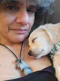 Remi is missing in Everett, WA. Last seen 05/27/18. Contact Tami  713.304.1674. He is chipped and neutered. No collar.