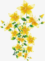 Yellow Flowers Vector Flowers Spring Illustration Yellow Flowers