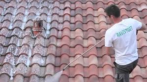 Une astuce pour faire briller un sol pvc consiste a faire intervenir le bicarbonate de soude. Le Demoussage De Toit Pourquoi S Y Atteler Rapidement