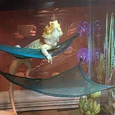 We did not find results for: Reptile Hammock Lounger Ladder Accessories Set For Large Small Bearded Dragons Anole Geckos Lizards Or Snakes 19 13 Habitat Decor Aliexpress
