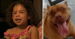 Hachiko a conquis les cœurs avec Richard Gere