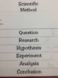 Scientific Method Flipbook Worksheets Teaching Resources Tpt