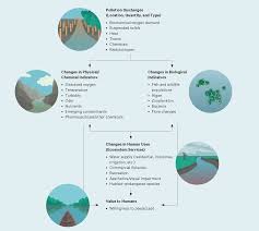 The most obvious type of water pollution affects surface waters. The Social Cost Of Water Pollution
