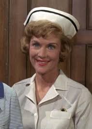 All's Fair (TV Series 1976–1977)