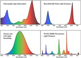 Check spelling or type a new query. Led Plant Lighting Icps