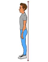 Find our examined best posture corrector and back brace for women and men. Guide To Good Posture Medlineplus