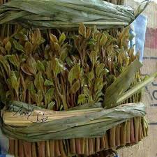 وتعود ممارسة مضغ القات إلى آلاف السنين في منطقة القرن الأفريقي وشبه الجزيرة العربية حيث تُزرع شجرة القات على نطاق واسع وتُعرف بأسماء مختلفة منها الجات والجاد في. Ø§Ø¨Ø±Ø§Ù‡ÙŠÙ… Ø§Ù„Ù†ÙˆØ¹Ù‡ Sa83salam Twitter