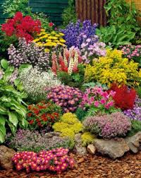 Jigsaw Puzzle Garden Inspiration Plants Flowers Perennials