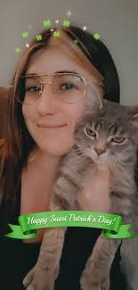 Lost black and grey cat in Chesterfield area